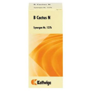 SYNERGON KOMPLEX 127 Cactus S Tropfen