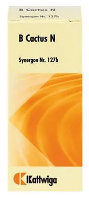 SYNERGON KOMPLEX 127 Cactus S Tropfen