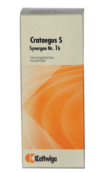 SYNERGON KOMPLEX 1b Crataegus S Tropfen